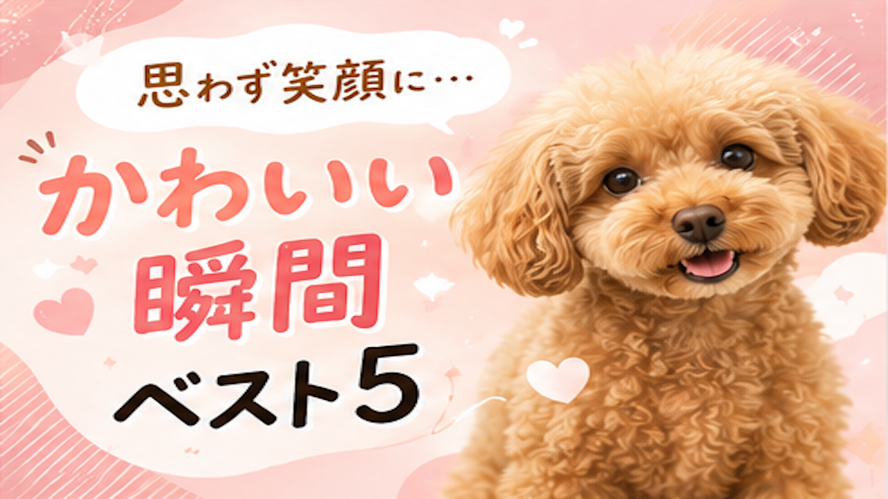 ロング動画サムネイル